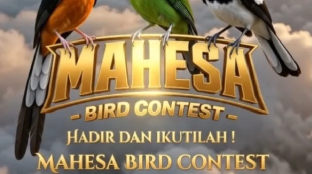Mahesa Bird Contest &Quot;September Ceria&Quot; Siap Guncang Malang